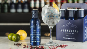 Gin