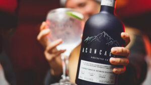 Aconcagua Handcrafted Gin